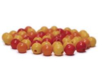 mix of wooden beads - 6 mm - tones of yellow/red